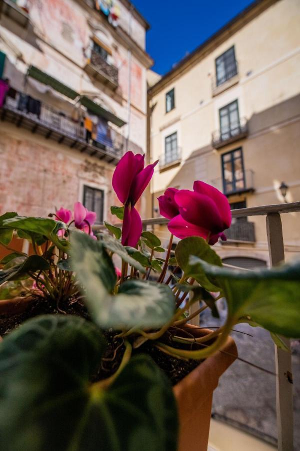 Terre Dipinte Bed & Breakfast Salerno Exterior photo